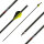 from 56 lbs | Carbon arrow | SPHERE 3K Xtreme - with Vanes | Spine 350 | 32 inches