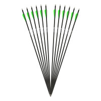 Complete arrow | DRAKE Fire - Carbon-Hybrid-Arrow - Pack of 12