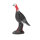 FRANZBOGEN - Standing Turkey Hen