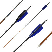 36-40 lbs | [Recommendation] Carbon arrow | MagnetoSPHERE...