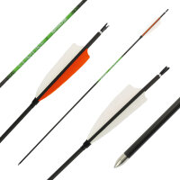 26-30 lbs | [PRICE TIP] Carbon arrow | SPHERE Slimline...