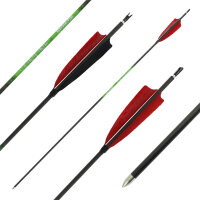 26-30 lbs | [PRICE TIP] Carbon arrow | SPHERE Slimline...