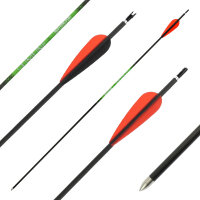 26-30 lbs | [PRICE TIP] Carbon arrow | SPHERE Slimline...