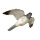 FRANZBOGEN - Flying Hawk