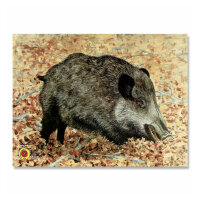 Target Face | Animal - Wild Boar