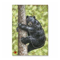 Target Face | Animal - Black Bear