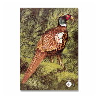 Target Face | Animal - Pheasant