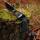 [SPECIAL] DRAKE Black Raven 2.0 - 60 Inch - 45 lbs - Take Down Recurve bow