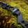 [SPECIAL] DRAKE Black Raven 2.0 - 60 Inch - 45 lbs - Take Down Recurve bow