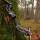 [SPECIAL] DRAKE Steam - 64 Inch - 40 lbs - Take Down Recurve bow