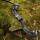 [SPECIAL] DRAKE Steam - 64 Inch - 40 lbs - Take Down Recurve bow
