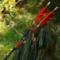 Complete arrow | PyroSPHERE - Carbon - Feathers - Custom | Spine 400