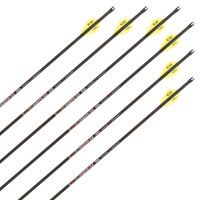 Complete arrow | SKYLON Quantic - 3K Carbon - factory fletched - Pack of 6