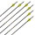 Complete Arrow | SKYLON Edge - Carbon - Factory fletched - Pack of 12