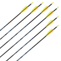 Complete arrow | SKYLON Radius - Carbon - factory fletched - Pack of 12