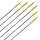 Complete arrow | SKYLON Radius - Carbon - factory fletched - Pack of 12