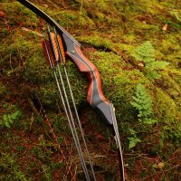 DRAKE ARCHERY ELITE Dark Phoenix - 60 inches - 30-50 lbs - Take Down Recurve bow