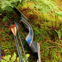 DRAKE ARCHERY ELITE Blue Royal - 60 inches - 35 lbs - Take Down Recurve bow