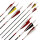Complete arrow | BSW Special Series - D/A/CH - Carbon