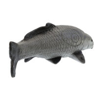 FRANZBOGEN Carp