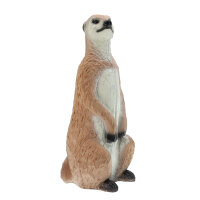 FRANZBOGEN Meerkat