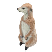 FRANZBOGEN Meerkat