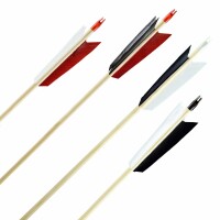 Complete arrow | BSW Raptor - version 4 - white/white/red - wood type: White Fir - Ø 5/16 inch