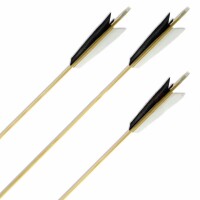 Complete arrow | BSW Raptor - version 4 - white/white/red - wood type: White Fir - Ø 5/16 inch
