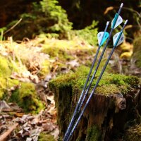 Complete arrow | SPHERE Contender - Carbon - Spine 900