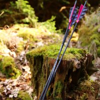 Complete arrow | SPHERE Contender - Carbon - Spine 900