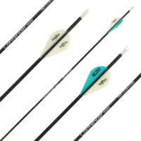 Complete arrow | SPHERE Contender - Carbon - Spine 900