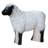 CENTER-POINT 3D Sheep