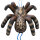 LEITOLD Little Tarantula