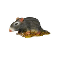 InForm 3D rat