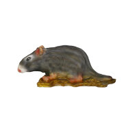 InForm 3D rat