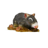 InForm 3D rat