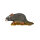 InForm 3D rat