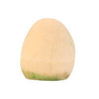 InForm 3D Egg