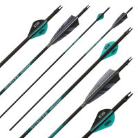 Complete arrow | SPHERE Hunter Pro - Carbon - Feathers -...