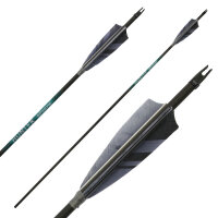 Complete arrow | SPHERE Hunter Pro - Carbon - Feathers -...