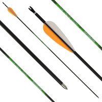 26-30 lbs | [PRICE TIP] Carbon arrow | SPHERE Slimline Pro - with Vanes - Spine: 800 | 30 inches