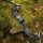 [SPECIAL] DRAKE Steam - 64 inches - 30-60 lbs - Take Down Recurve bow 60 lbs