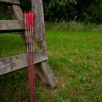 Complete arrow | SPIDERBOWS Raven.One KevTech - 4,2mm -...