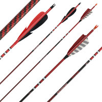 Complete arrow | SPIDERBOWS Raven.One KevTech - 4,2mm - Carbon