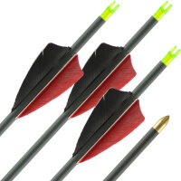 3 units Carbon arrow | LithoSPHERE Black - with natural feathers | Length: 20 Inches ***TIPP***