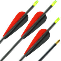 Carbon arrow | LithoSPHERE Black - with Vanes | Length: 20 inch