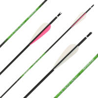 Carbon arrow | SPHERE Slimline Pro - with Vanes | Length: 24 Inches