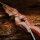 Riser | SPIDERBOWS - Hawk - SWS - 15-21 inches