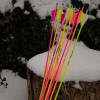 Complete arrow | SPHERE Lumos 4.2 - Carbon