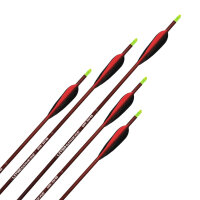 3 units Carbon arrow | LithoSPHERE Traditional - with natural feathers | Length: 20 Inches